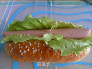 热狗面包的做法步骤：10
