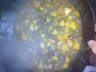 土豆焖鸡块的做法步骤：5
