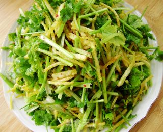夏日小凉菜----土豆丝拌香菜的做法步骤：6