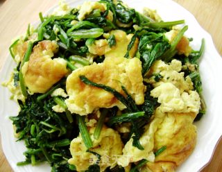 家常菜----菠菜炒蛋的做法步骤：6