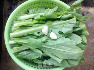 清炒苦麦菜的做法步骤：1