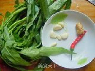 蒜香空心菜的做法步骤：1