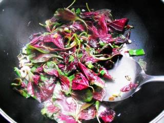 蒜米红苋菜的做法步骤：5