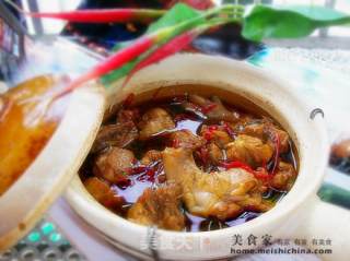 家常菜肴@@初试炮制~~啤酒焖鸡的做法步骤：9