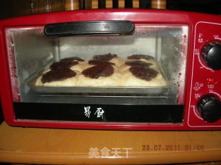可可菠萝面包及面包圈的做法步骤：10