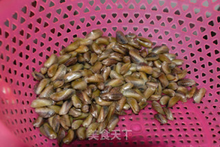 九层塔炒薄壳的做法步骤：1