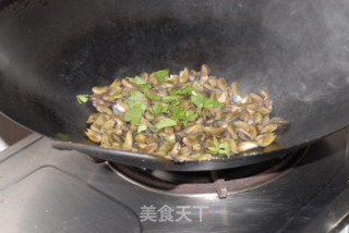 九层塔炒薄壳的做法步骤：5