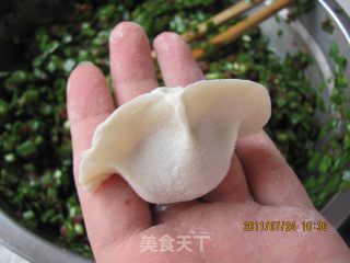 韭菜猪肉水饺的做法步骤：7