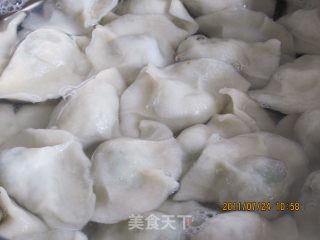 韭菜猪肉水饺的做法步骤：9