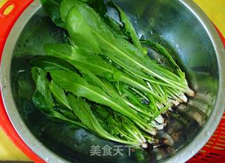 【夏季小凉菜】蒲公英拌黄瓜的做法步骤：1