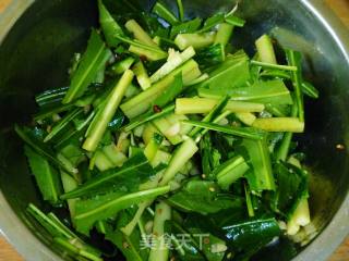 【夏季小凉菜】蒲公英拌黄瓜的做法步骤：7