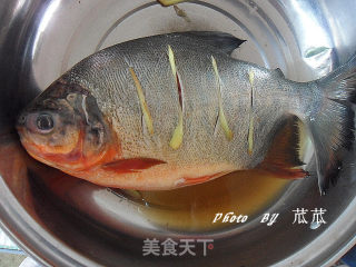 红烧鳊鱼的做法步骤：4