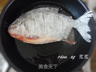 红烧鳊鱼的做法步骤：5