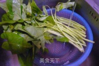 腐乳空心菜的做法步骤：2