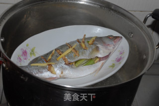清蒸鲈鱼的做法步骤：5