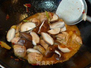 香菇鸡块的做法步骤：7
