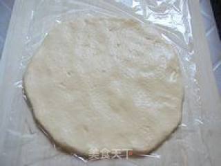 花样米饭（三）—胡萝卜米饭饼的做法步骤：9