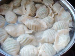 【徽菜】--韭菜水饺的做法步骤：17