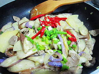 茄子炒土豆片的做法步骤：9