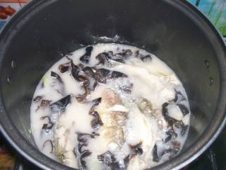 鲫鱼木耳汤的做法步骤：5