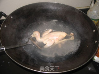 【徽菜】黄山炖鸽的做法步骤：3