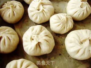 家常主食----西瓜皮馅蒸包的做法步骤：9