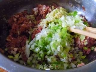 茴香猪肉饺子的做法步骤：6