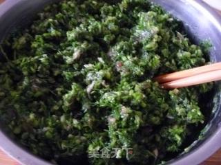 茴香猪肉饺子的做法步骤：8