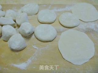 茴香猪肉饺子的做法步骤：9