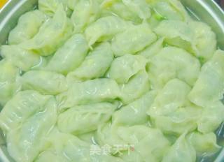 茴香猪肉饺子的做法步骤：11