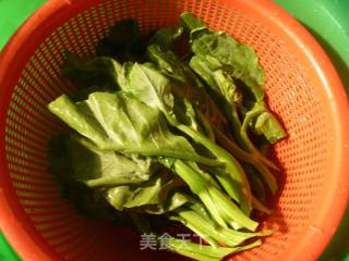 【夏季小凉菜】凉拌芥蓝的做法步骤：2