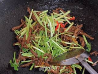 香芹牛肉丝的做法步骤：6