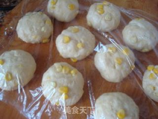 香香甜甜——鲜奶油玉米面包的做法步骤：3
