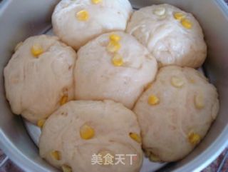 香香甜甜——鲜奶油玉米面包的做法步骤：5