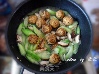 丝瓜肉丸 （丸子的另一种吃法）的做法步骤：8