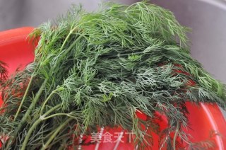 从小爱到大的味道·茴香猪肉饺的做法步骤：3
