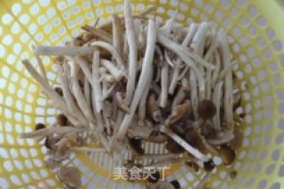 干炒茶树菇的做法步骤：3