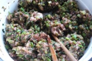 芹菜猪肉包的做法步骤：8