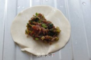 芹菜猪肉水饺的做法步骤：8