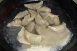 芹菜猪肉水饺的做法步骤：10