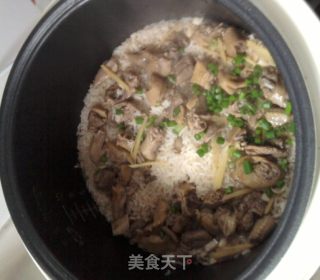 大鸽饭的做法步骤：7