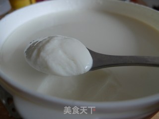 自制酸奶的做法步骤：6