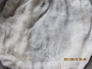 自己动手轻松发出黑豆芽的做法步骤：4
