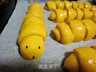南瓜毛毛虫面包的做法步骤：15