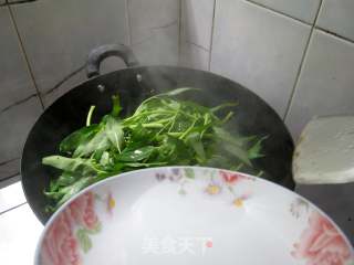 夏天吃蔬菜：蒜蓉空心菜的做法步骤：4