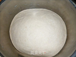 芽白包子的做法步骤：3