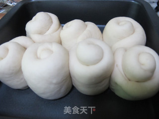 奶香小面包的做法步骤：9