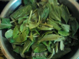清炒小白菜的做法步骤：1