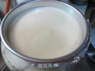 日式轻乳酪蛋糕的做法步骤：13