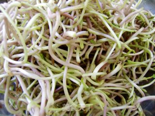 家常菜----绿豆芽炒粉的做法步骤：1